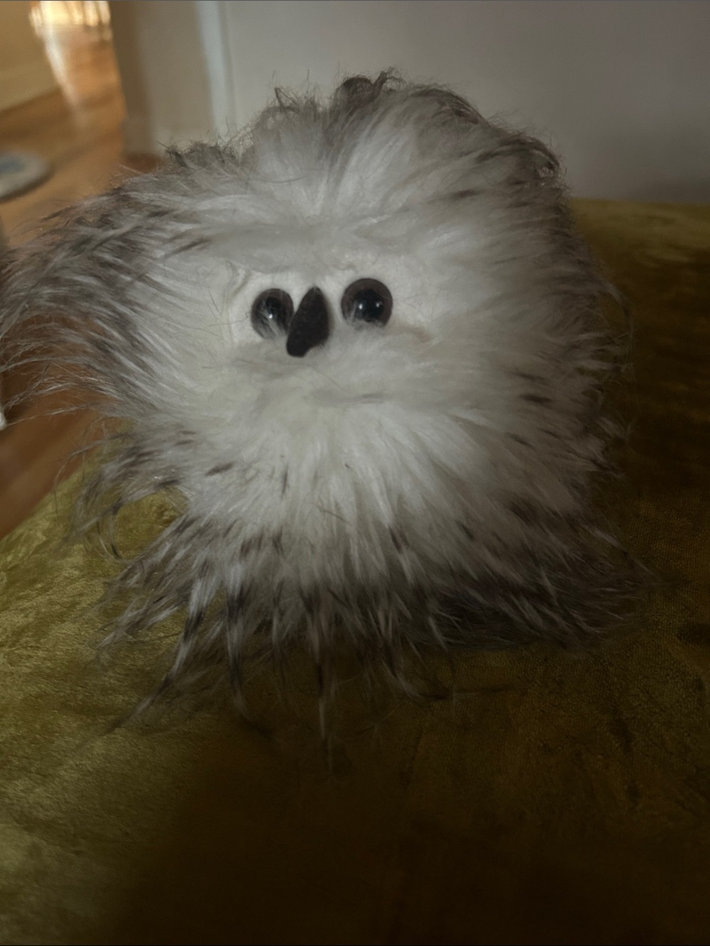-retired Jellycat Bertie, the owl🦉